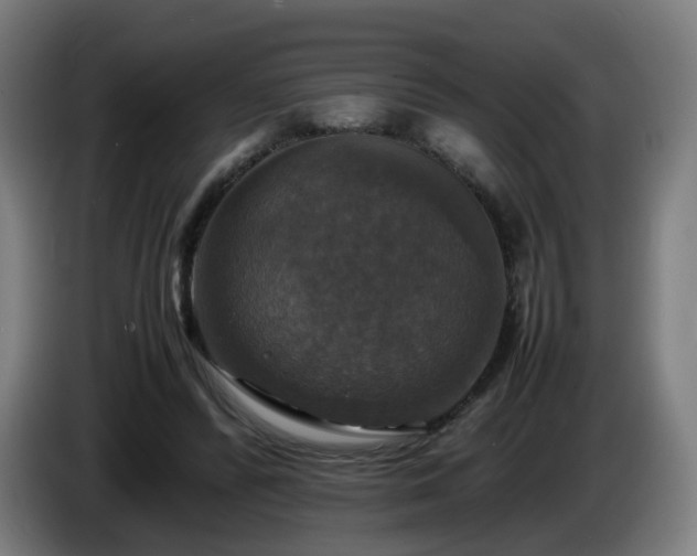X0000086010400200703301015