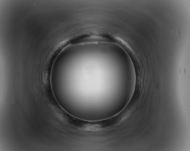 X0000086010403200703301015
