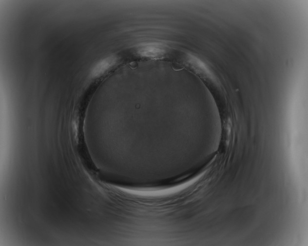 X0000086010404200703301015