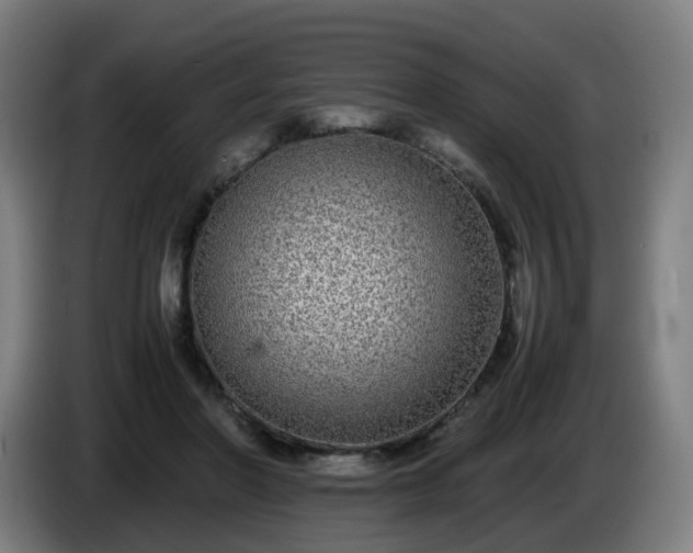 X0000086010406200703301015