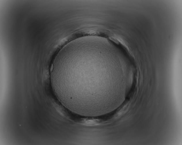 X0000086010407200703301015