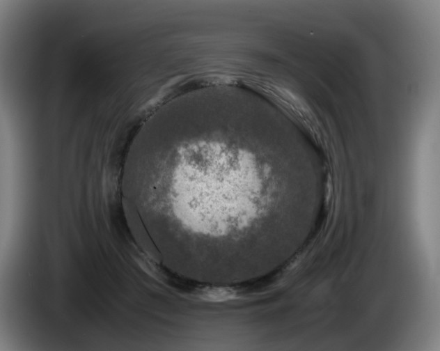 X0000086010409200703301015