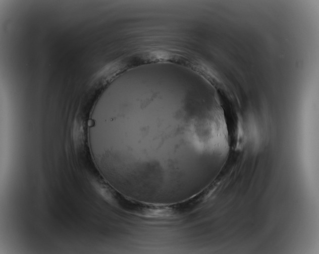 X0000086010410200703301015