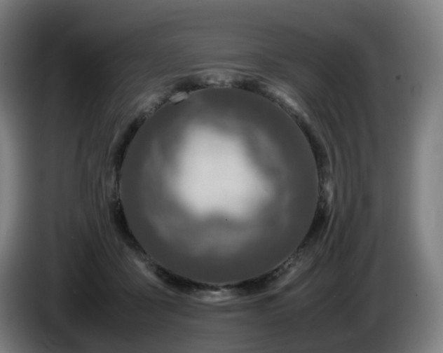 X0000086010411200703301015