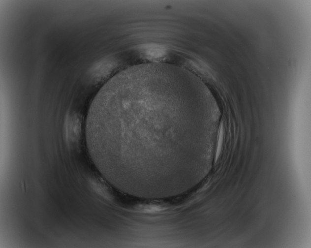 X0000086010412200703301014