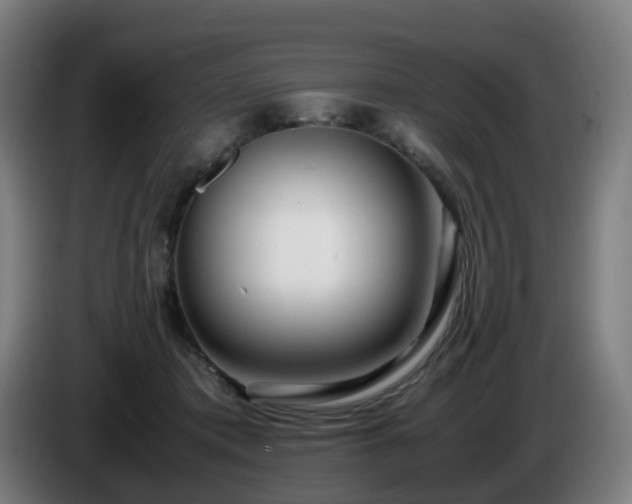 X0000086010413200703301014
