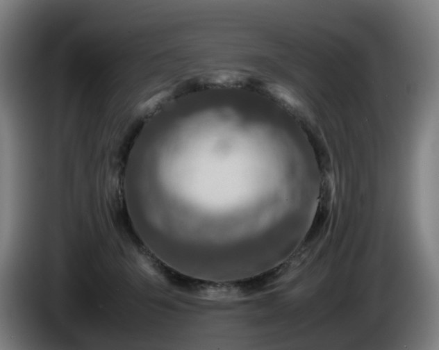 X0000086010415200703301014