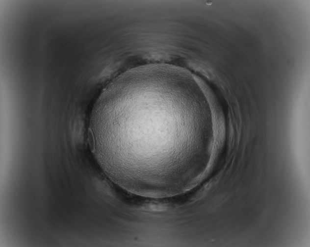 X0000086010416200703301014