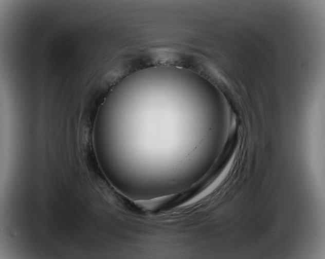 X0000086010417200703301014