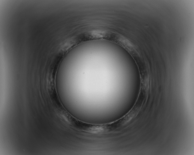 X0000086010418200703301014