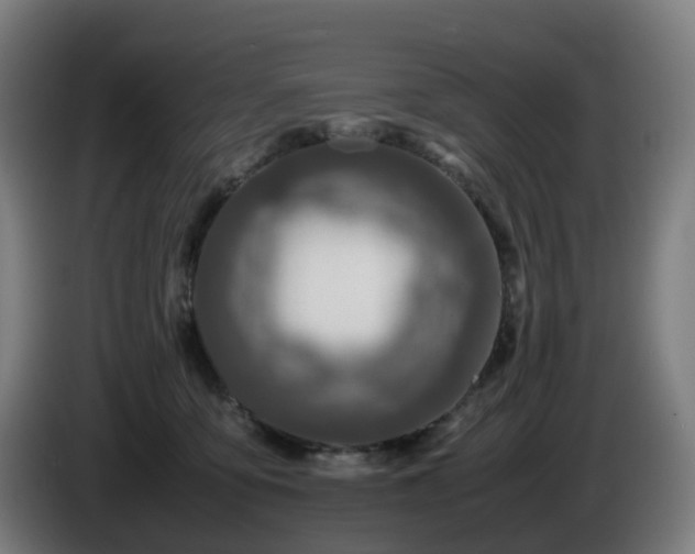 X0000086010419200703301014
