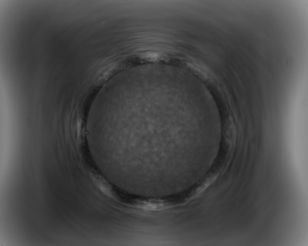 X0000086010420200703301014