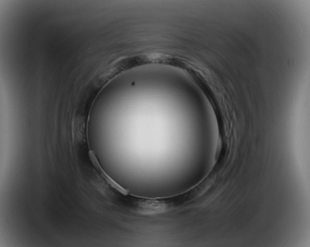 X0000086010421200703301014