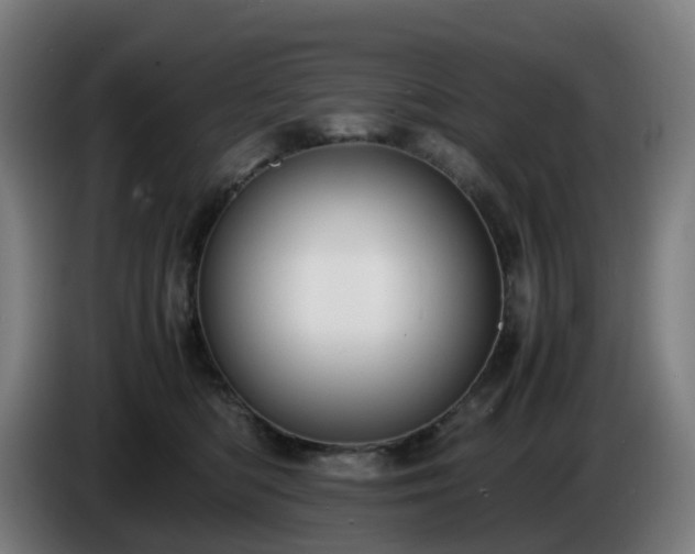 X0000086010422200703301014