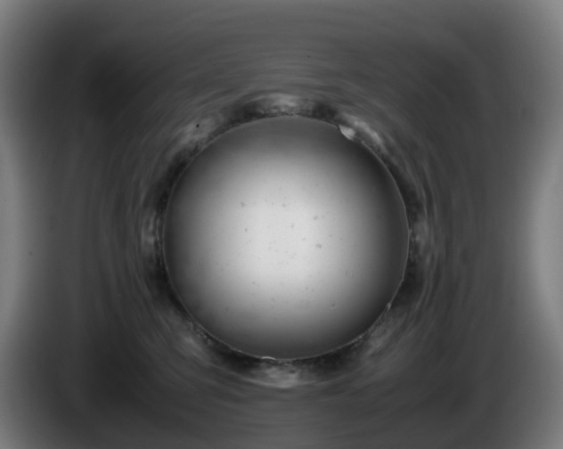 X0000086010423200703301014