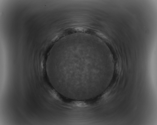 X0000086010424200703301014