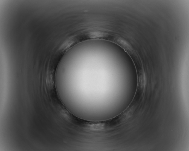 X0000086010426200703301014