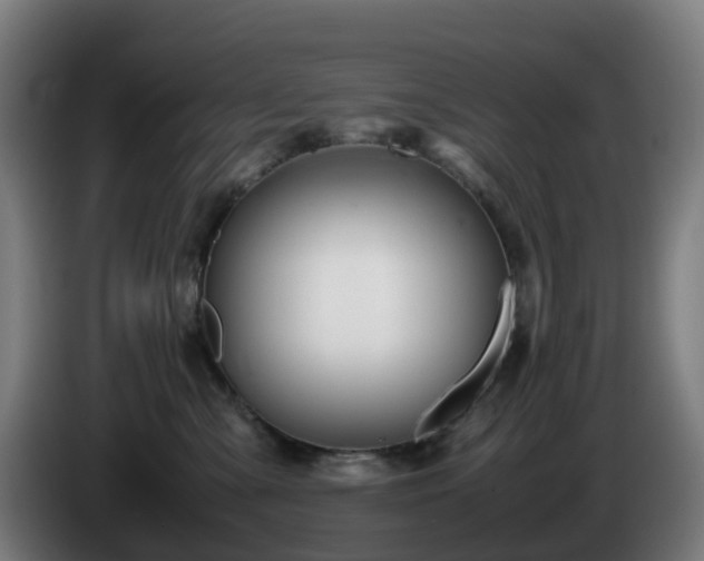 X0000086010427200703301014