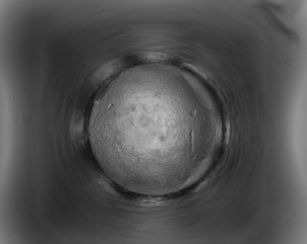 X0000086010428200703301014
