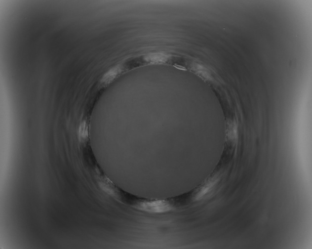 X0000086010431200703301014
