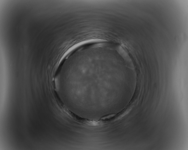 X0000086010432200703301014