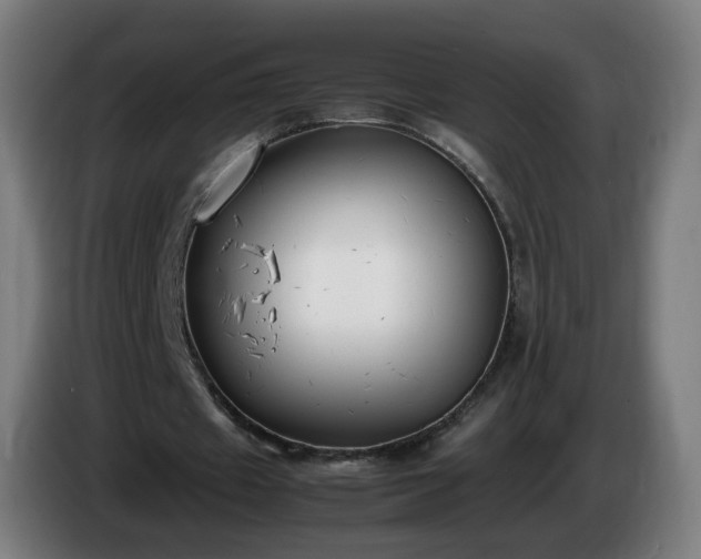 X0000086010433200703301014