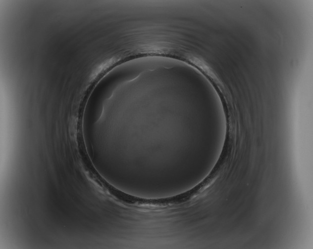 X0000086010434200703301014