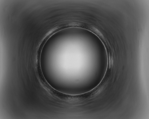 X0000086010435200703301014