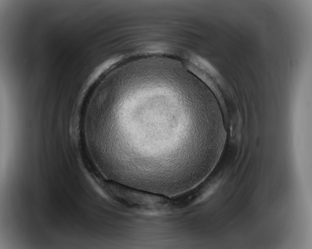 X0000086010436200703301014