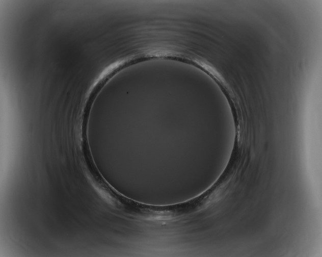 X0000086010438200703301014