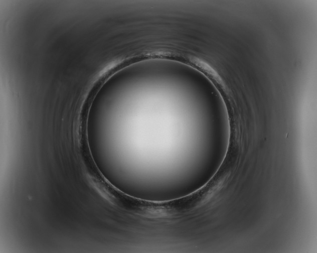 X0000086010439200703301014