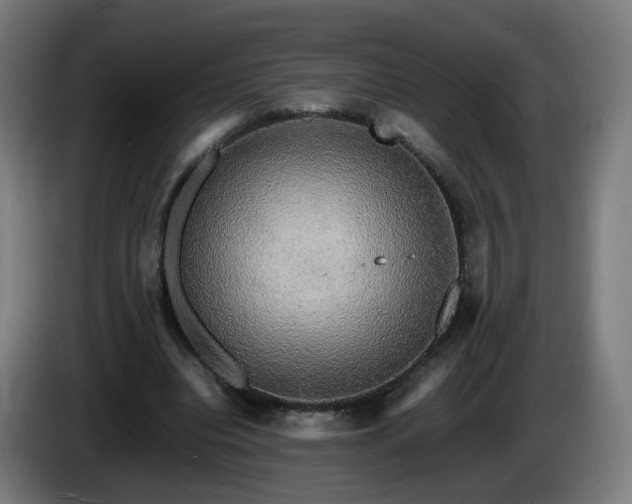 X0000086010440200703301014