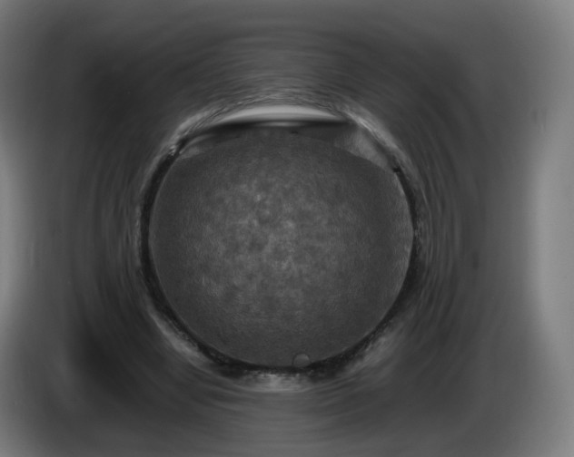 X0000086010442200703301014