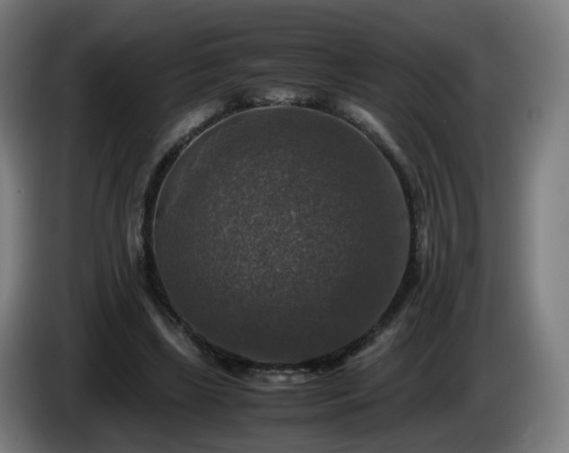 X0000086010443200703301014