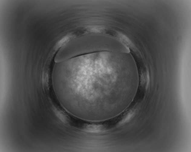 X0000086010444200703301014