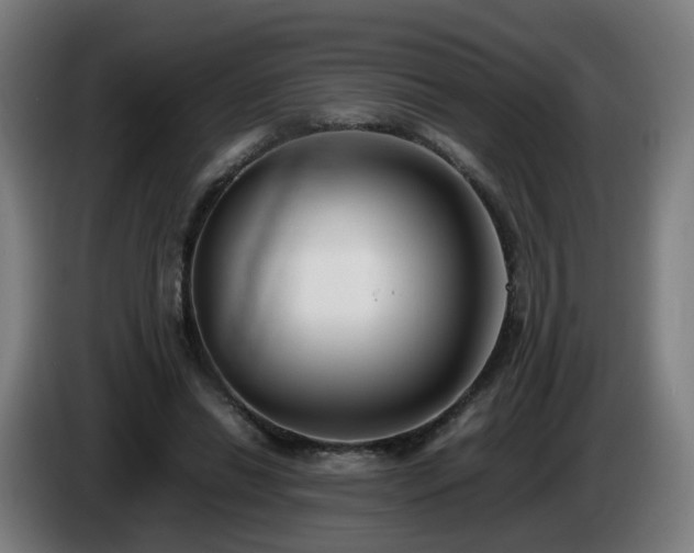 X0000086010446200703301014