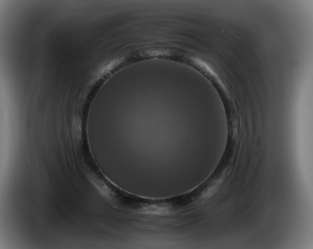 X0000086010447200703301014
