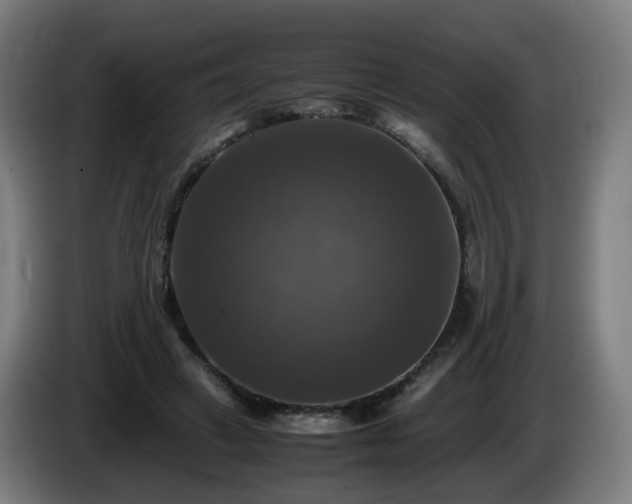 X0000086010449200703301014