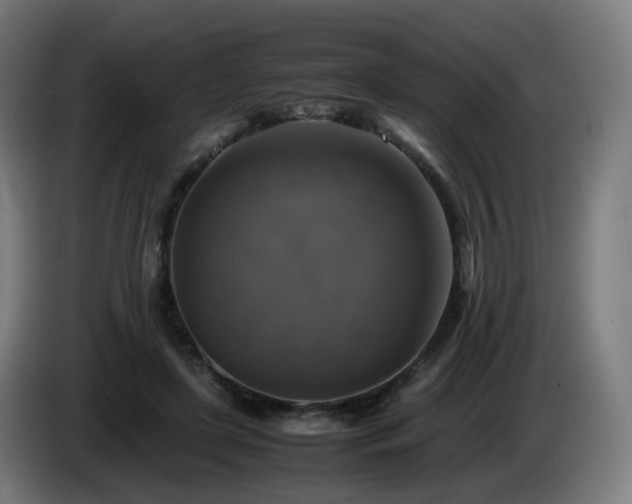 X0000086010451200703301014