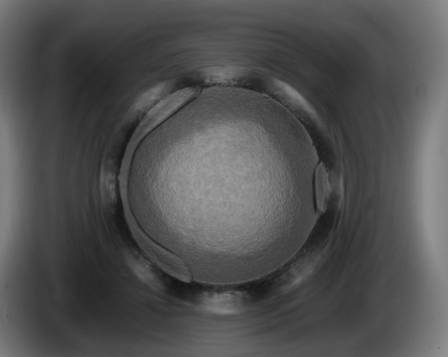 X0000086010452200703301014