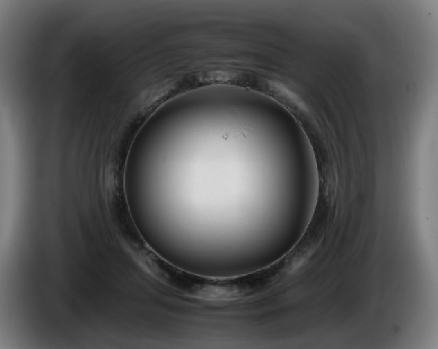 X0000086010455200703301014