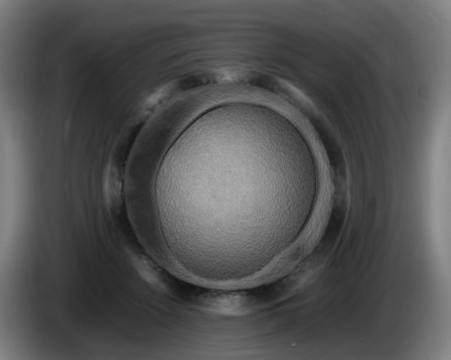 X0000086010456200703301014