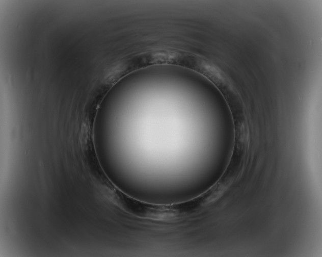 X0000086010463200703301014