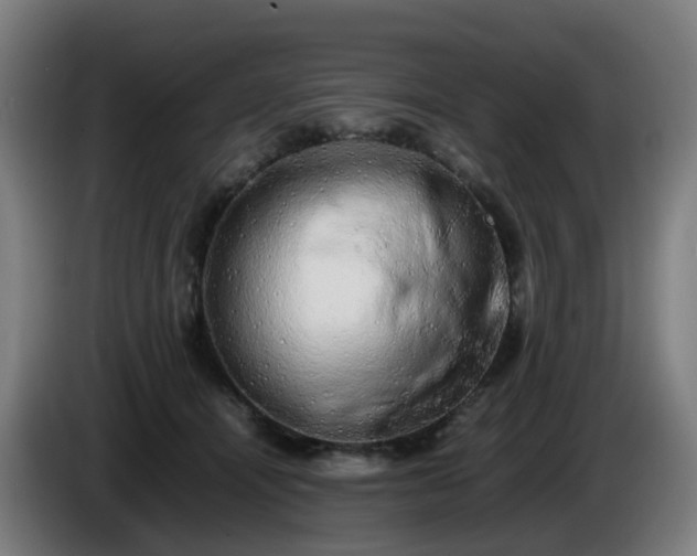 X0000086010464200703301014