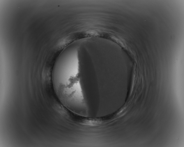 X0000086010466200703301014