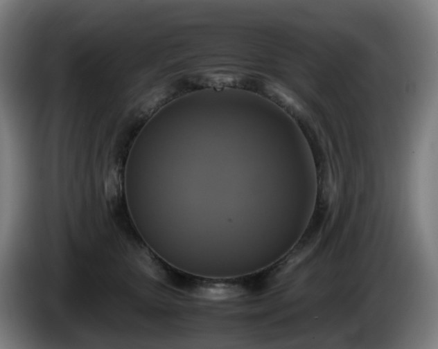 X0000086010467200703301014