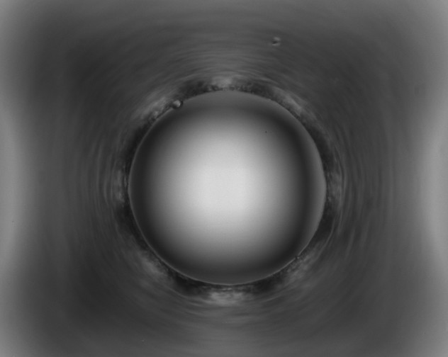 X0000086010470200703301014