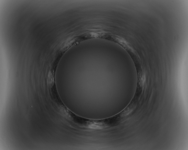 X0000086010471200703301014