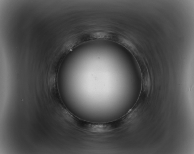 X0000086010473200703301014