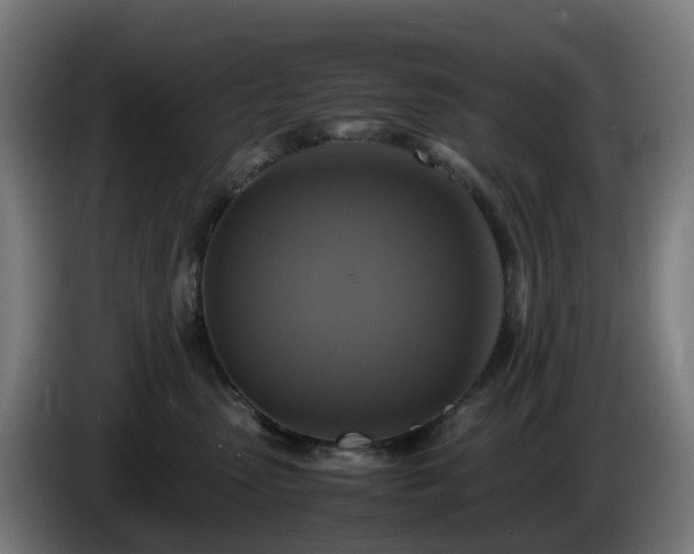 X0000086010475200703301014